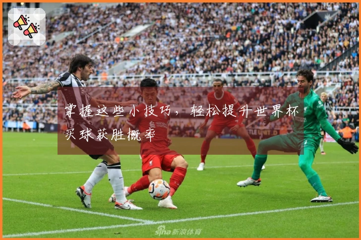 掌握这些小技巧，轻松提升世界杯买球获胜概率