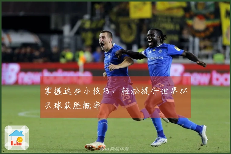 掌握这些小技巧，轻松提升世界杯买球获胜概率