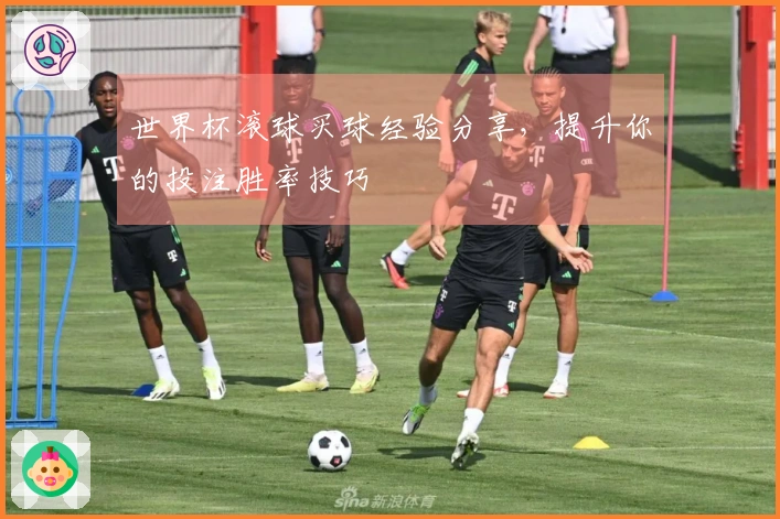 世界杯滚球买球经验分享，提升你的投注胜率技巧