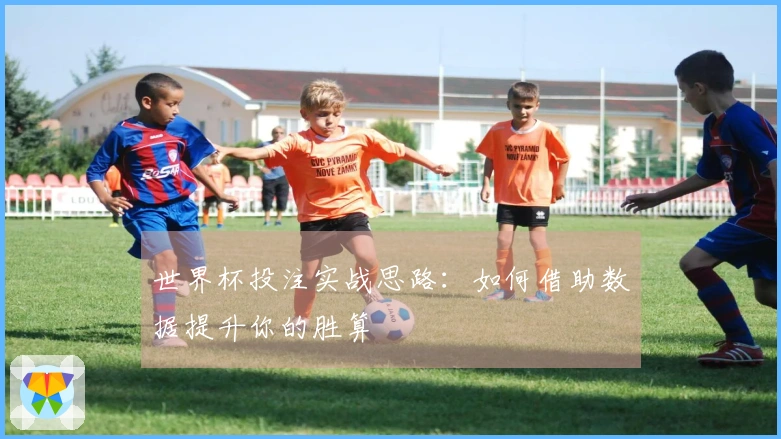 世界杯投注实战思路：如何借助数据提升你的胜算